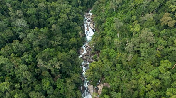 Réglementation conduite automobile : tout ce qu'il faut savoir